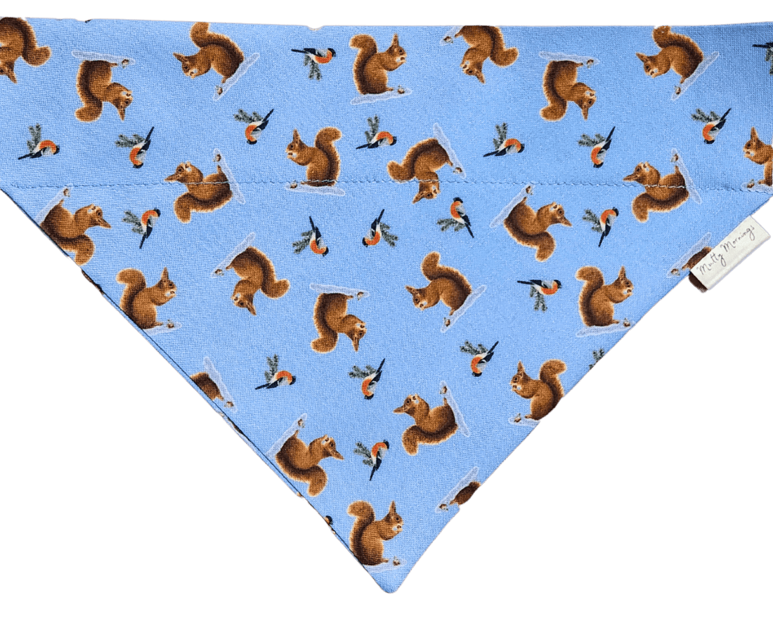 Squirrel Season Pet Bandana - Mutty Mornings