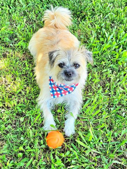 Stars &amp; Stripes Plaid Pet Bandana - Mutty Mornings