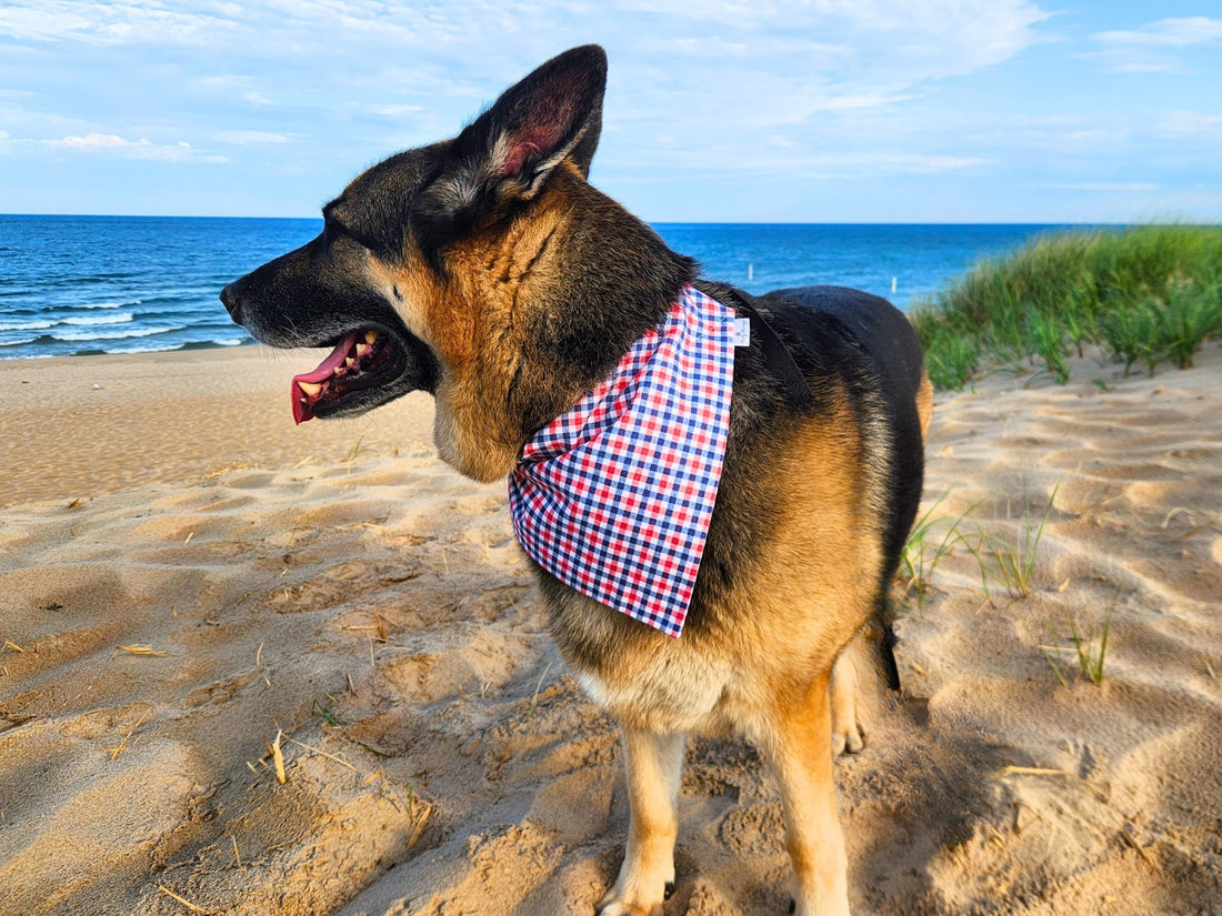 Stars &amp; Stripes Plaid Pet Bandana - Mutty Mornings