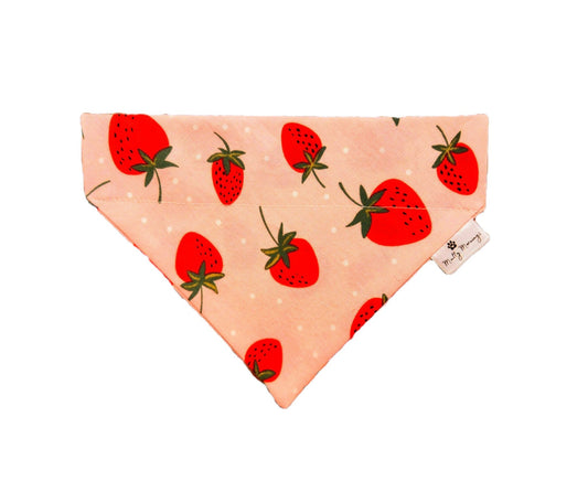 Strawberries Pet Bandana - Mutty Mornings