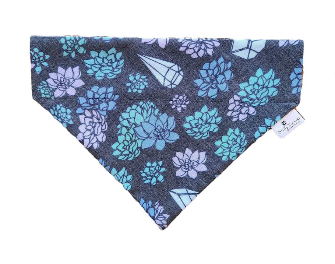 Succulent Crystals Bandana and Headband Set - Mutty Mornings