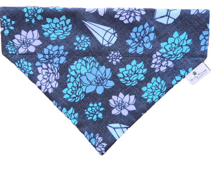 Succulent Crystals Pet Bandana - Mutty Mornings