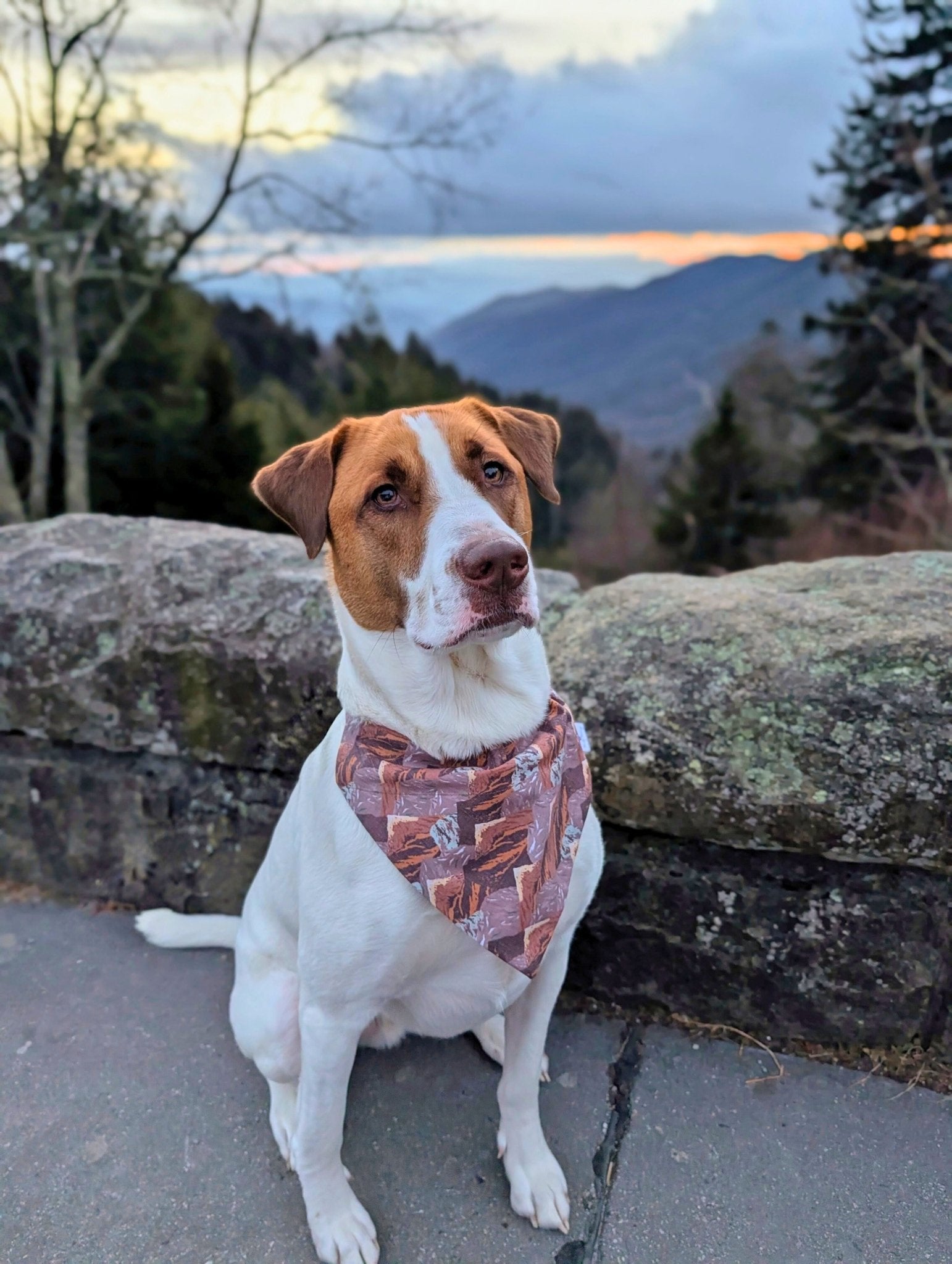 Summit Ridge Bandana &amp; Headband Set - Mutty Mornings