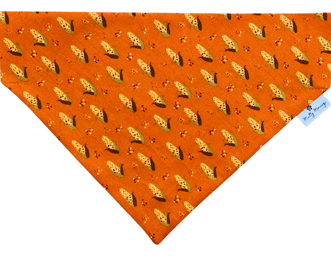 Sweet Corn Pet Bandana - Mutty Mornings