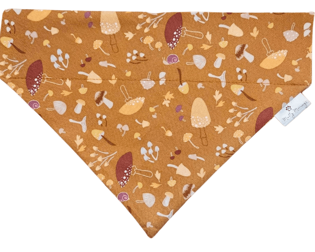 Toadstool &amp; Thistle - Mutty Mornings