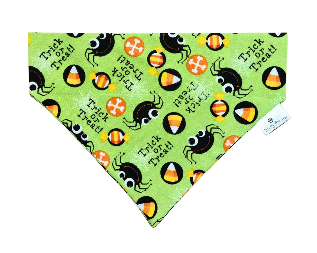 Trick or Treat Pet Bandana - Mutty Mornings