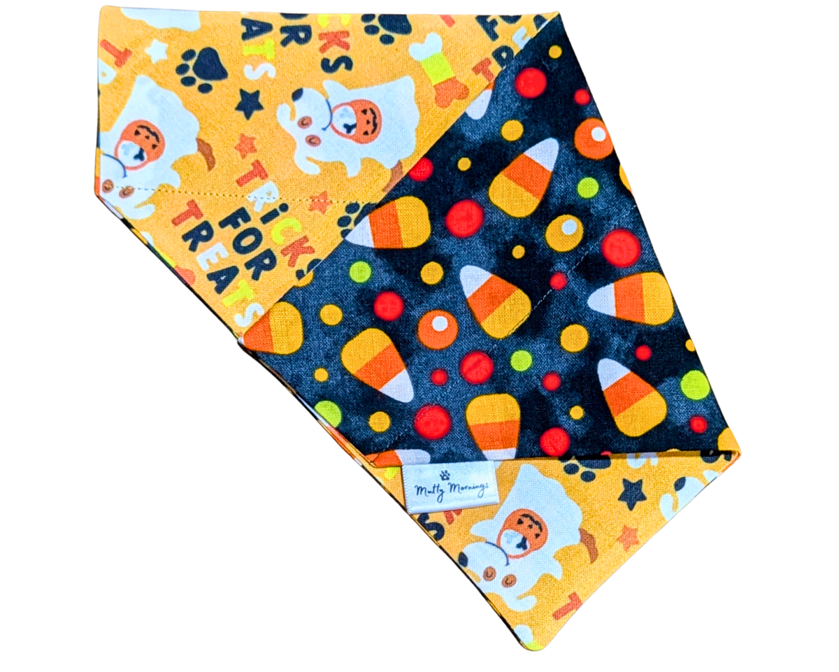 Tricks for Treats Reversible Pet Bandana - Mutty Mornings