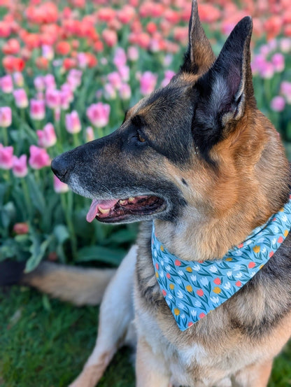 Tulip Time Pet Bandana - Mutty Mornings