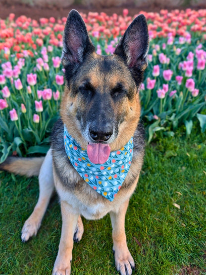 Tulip Time Pet Bandana - Mutty Mornings