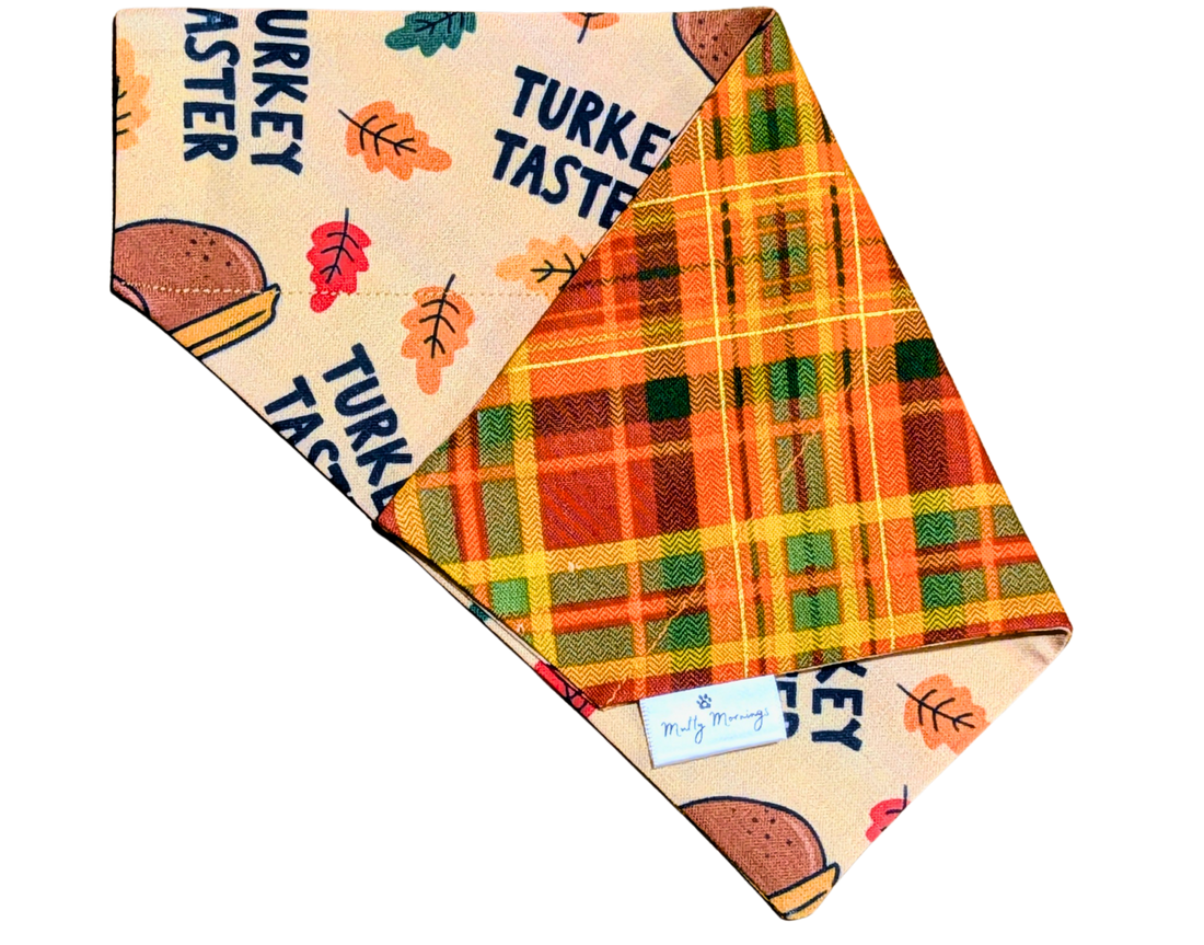 Turkey Taster Plaid Reversible Pet Bandana - Mutty Mornings
