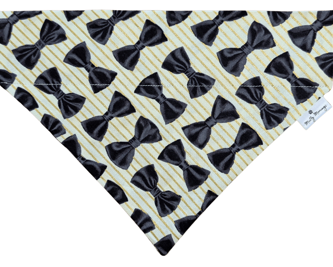 Tux &amp; Toast Pet Bandana - Mutty Mornings