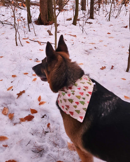 Twinkle Trees Pet Bandana - Mutty Mornings