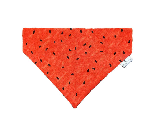 Watermelon Pet Bandana - Mutty Mornings