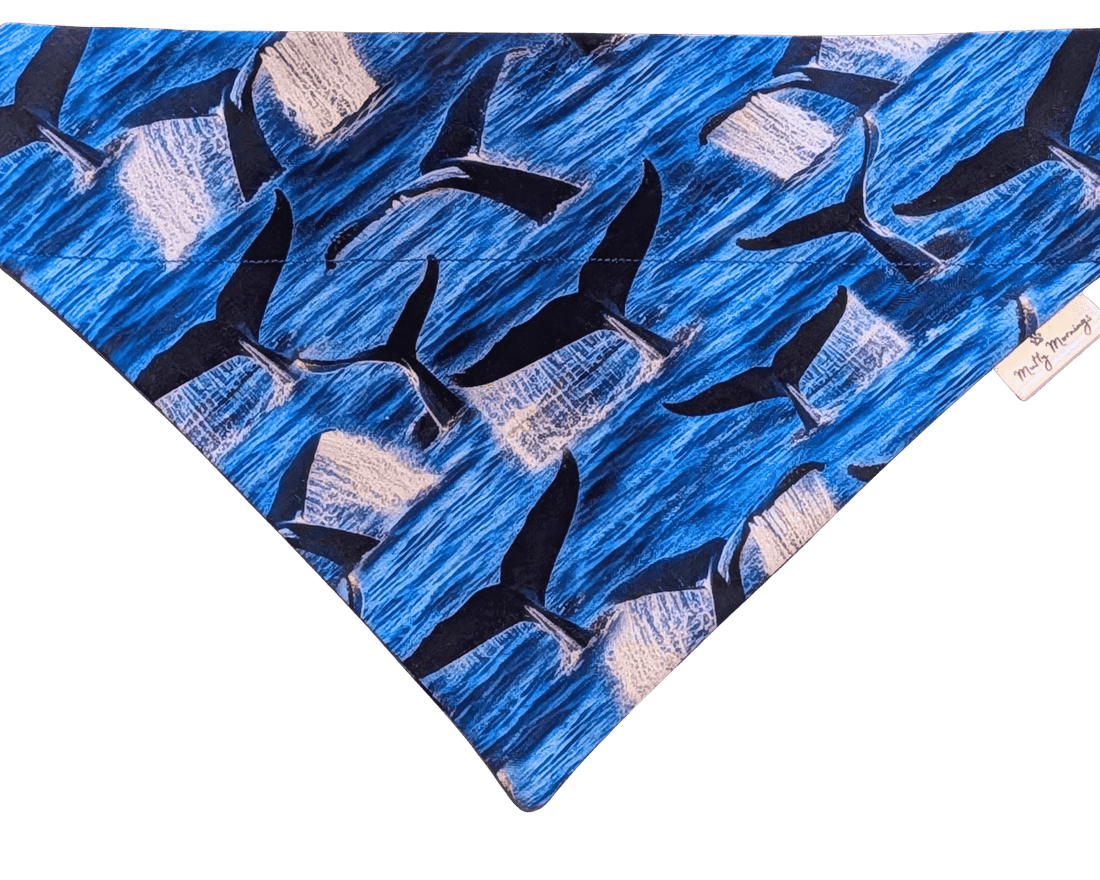 Whale Tails Pet Bandana - Mutty Mornings