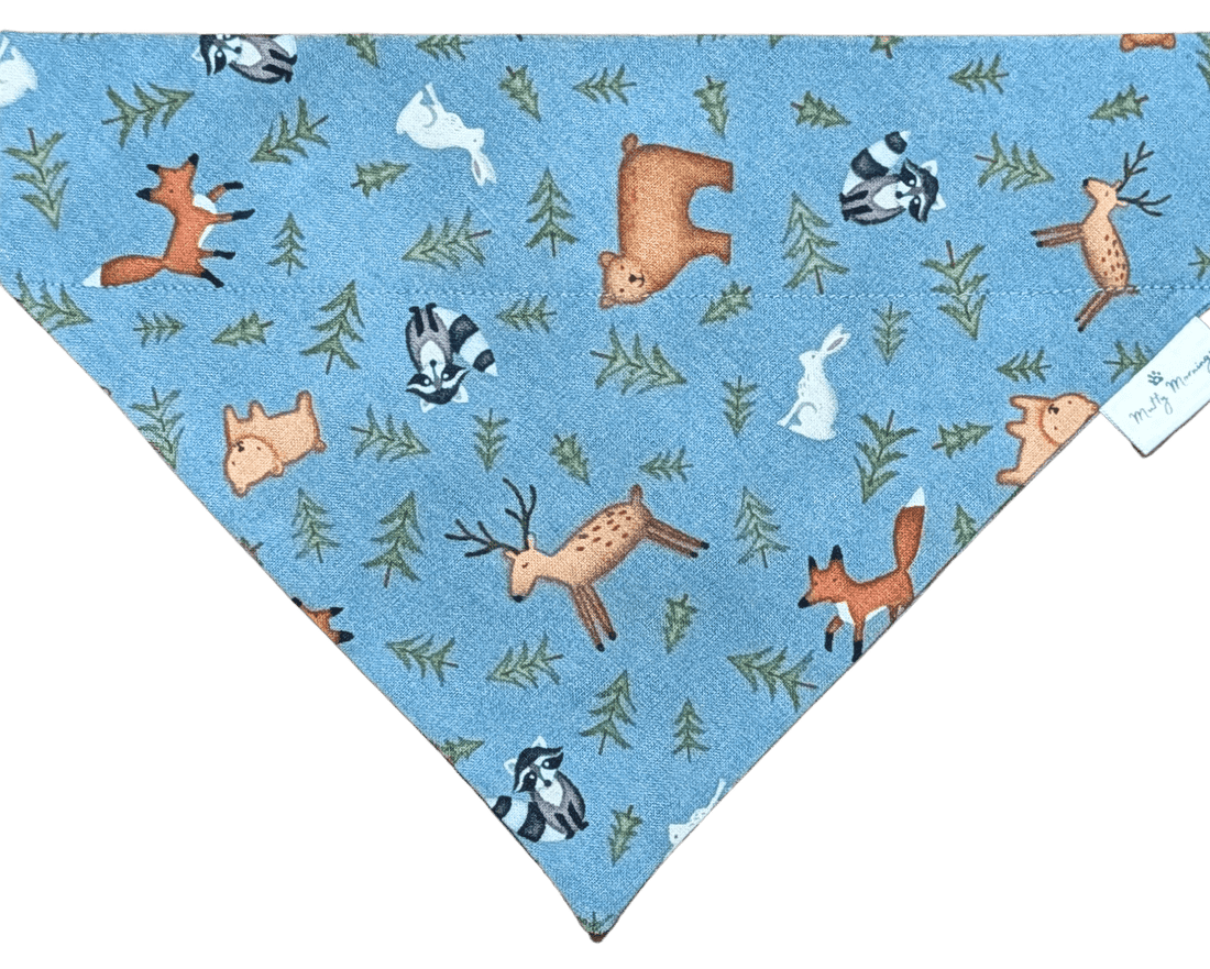 Wild Blue Yonder Pet Bandana - Mutty Mornings