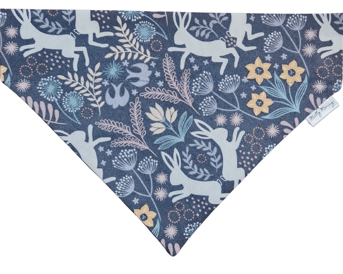 Wild Hop Pet Bandana - Mutty Mornings