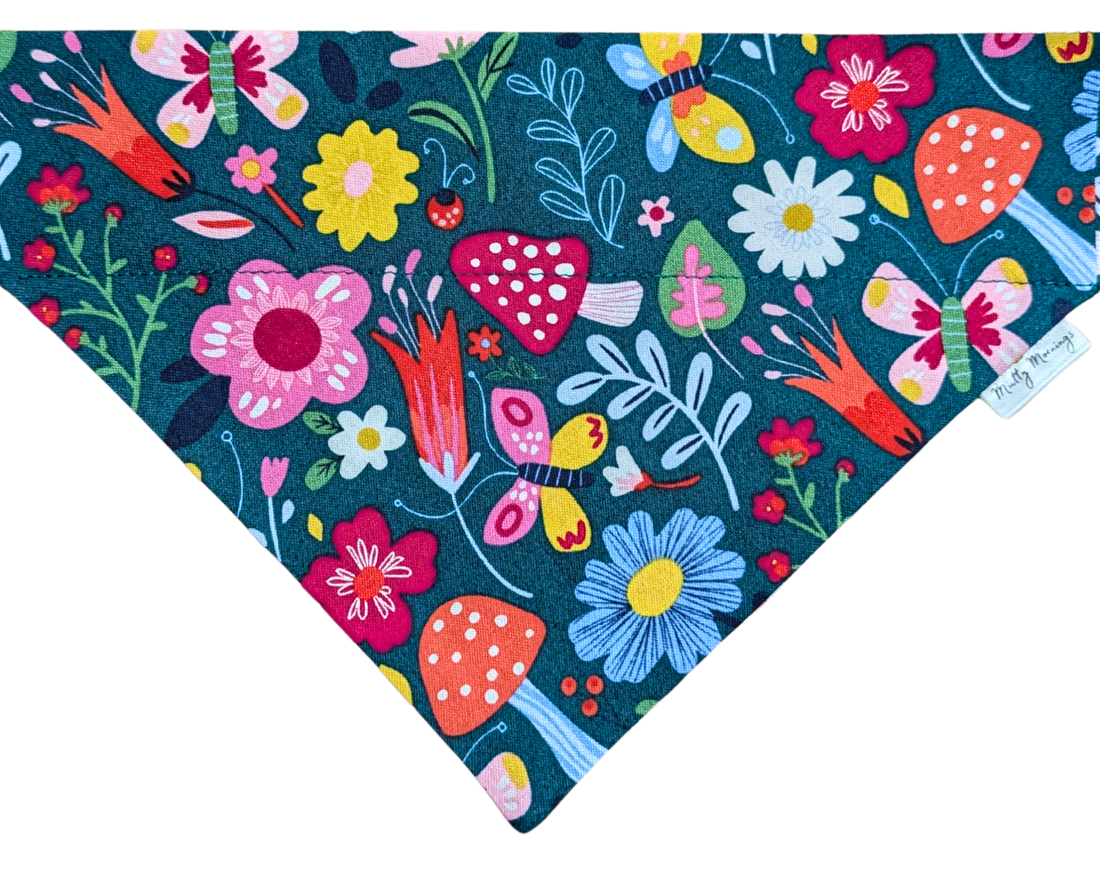Wildflower Disco Pet Bandana - Mutty Mornings