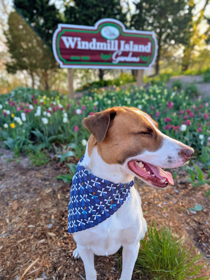 Windmills Skies Pet Bandana - Mutty Mornings