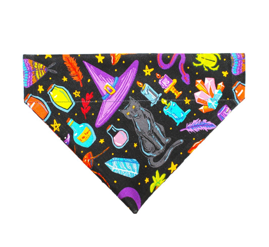 Witchy Halloween Pet Bandana - Mutty Mornings