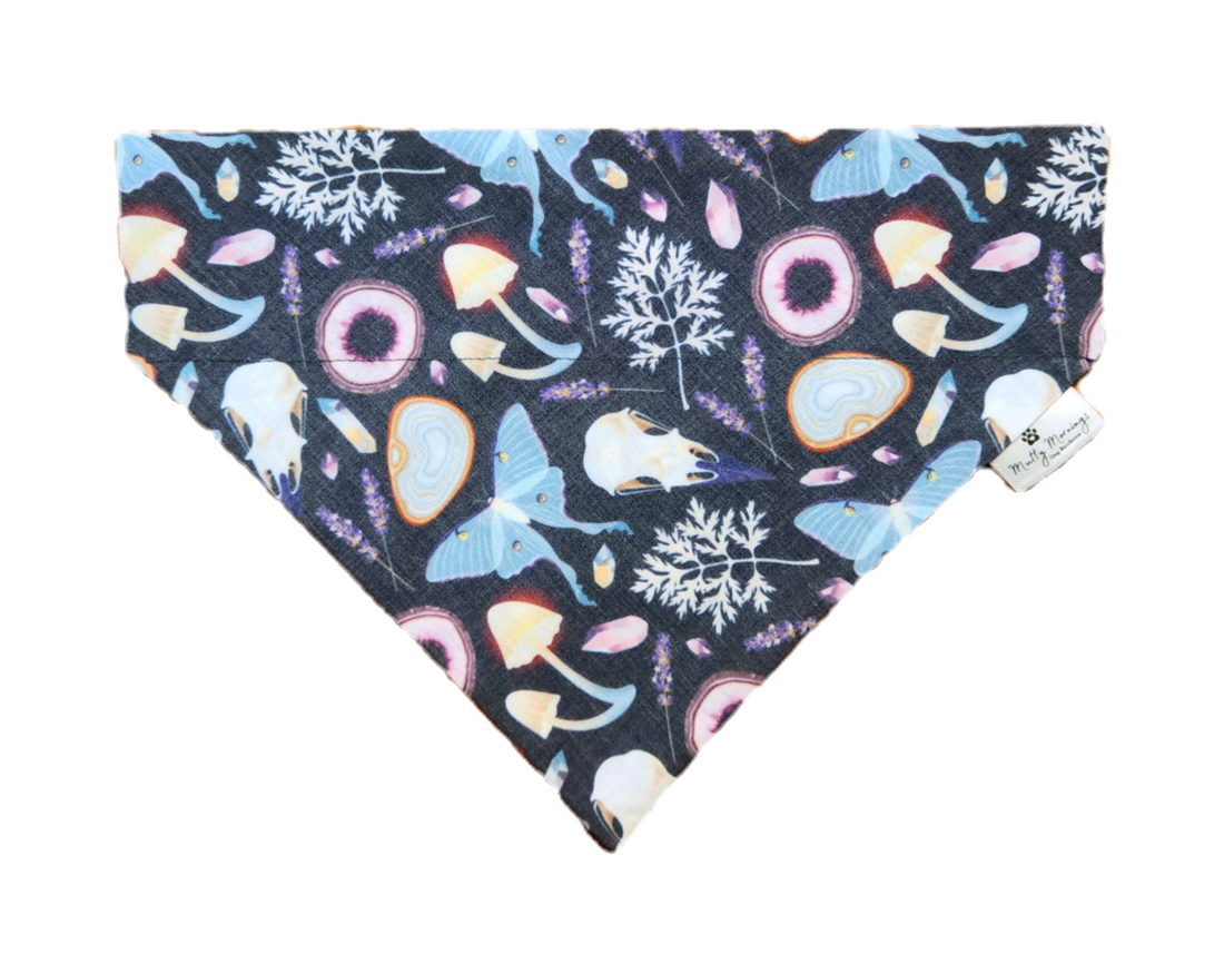 Witchy Night Bandana and Headband Set - Mutty Mornings