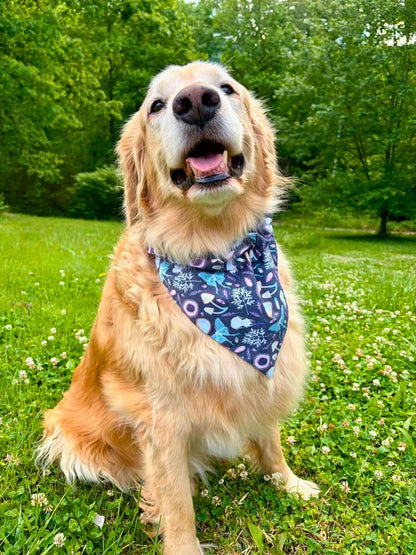 Witchy Night Bandana and Headband Set - Mutty Mornings