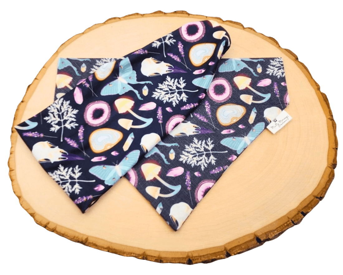 Witchy Night Bandana and Headband Set - Mutty Mornings