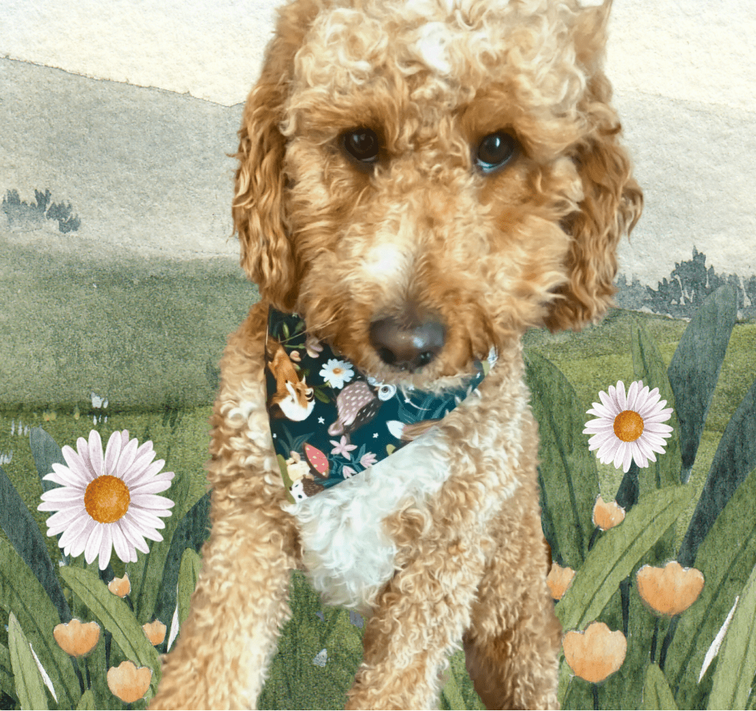 Woodland Whimsy Pet Bandana - Mutty Mornings